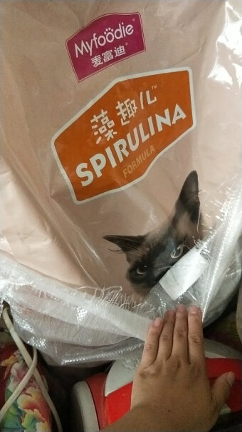 猫干粮麦富迪猫粮到底是不是智商税！评测哪款功能更好？