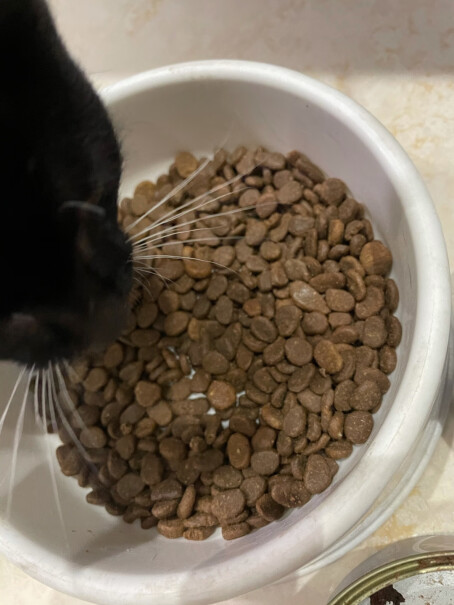 猫干粮渴望Orijen加拿大进口干粮全猫猫粮无谷六种鱼猫粮1KG评测好不好用,评测值得入手吗？