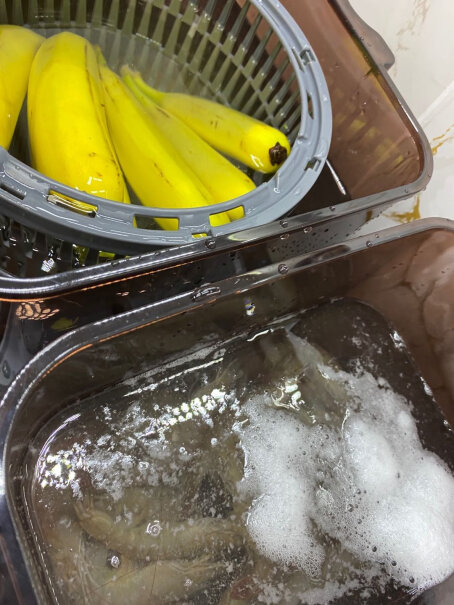 德国尊梵洗菜机家用全自动多功能餐具消毒机果蔬清洗机食材净化机清洗时间分别要多久？