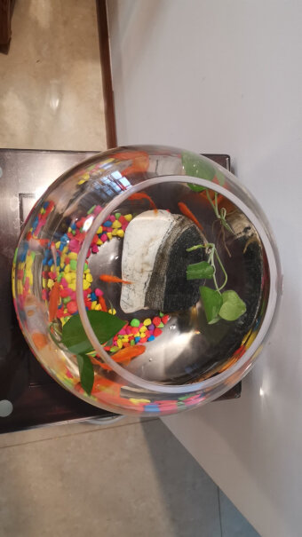 鱼麒麟玻璃金鱼缸小鱼缸小号的玻璃缸直径多少？