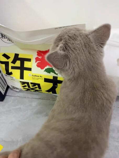 高爷家猫砂2.5kg质量评测：真相揭秘？