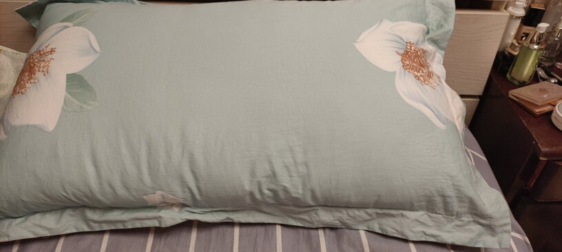 纤维枕富安娜家纺枕头枕芯一对装冰箱评测质量怎么样！测评结果震惊你！