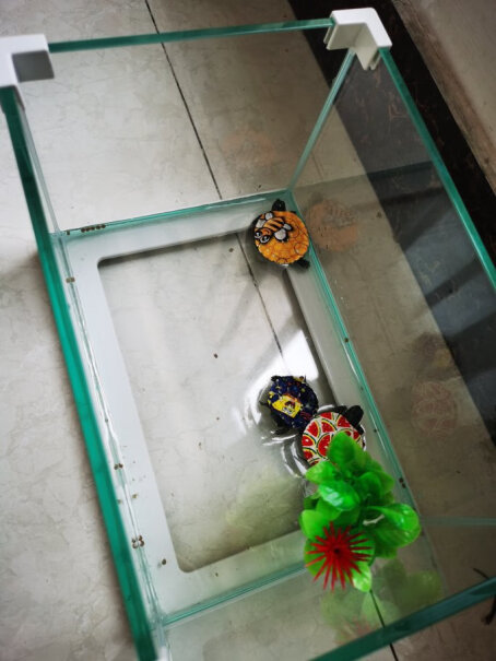 爬宠用品森森乌龟缸带晒台龟缸乌龟别墅生态养龟的专用缸家用鱼缸玻璃缸来看看买家说法,好不好？