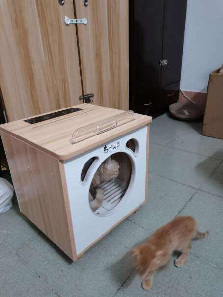 百我（baiwo宠物烘干机猫咪木制猫屋暖猫窝烘着烫不烫，猫咪会难受吗？