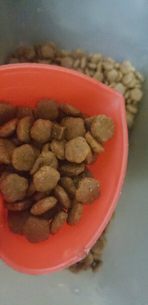 伯纳天纯Pure&Natural宠物狗粮之前吃的麦富迪，请问巴哥可以吃吗？