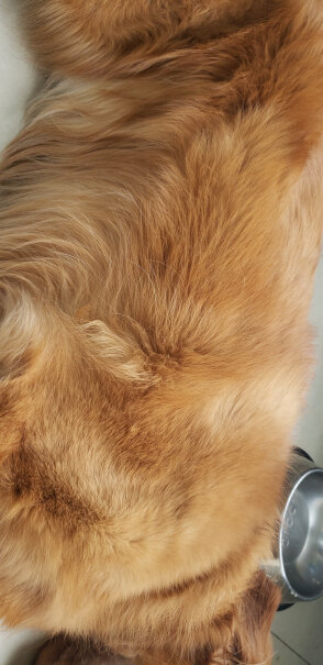 伯纳天纯Pure&Natural宠物狗粮一周岁的可卡可以吃吗，怎么样？