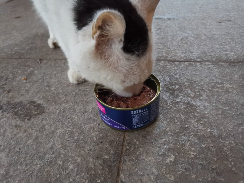 猫零食麦富迪猫罐头猫咪罐头评测质量好不好,好用吗？