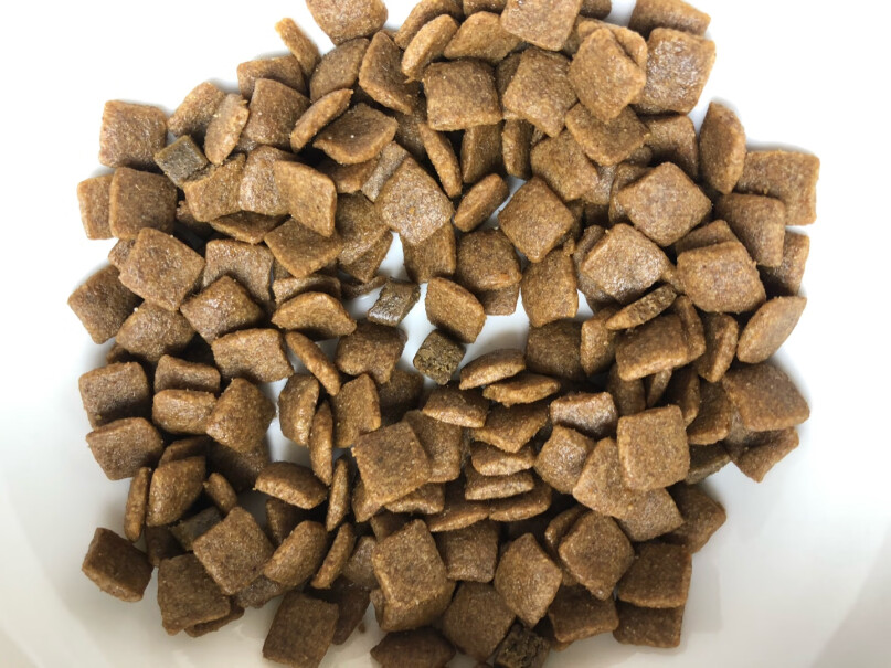 伯纳天纯狗粮中大型幼犬粮4kg阿拉斯加边牧拉布拉多这一款可以给科基。吃吗？