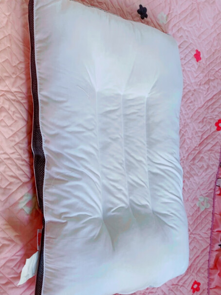 花草枕南极人NanJiren枕头枕芯评测结果不看后悔,评测好不好用？