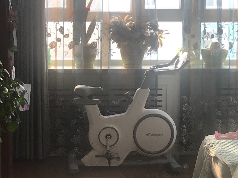 麦瑞克Merach家用动感单车磁控静音健身车智能运动健身器材不是说送减震垫的吗？