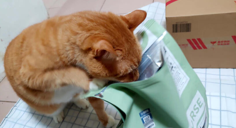 猫干粮卫仕猫粮全价全阶段10kg只选对的不选贵的,使用感受大揭秘！