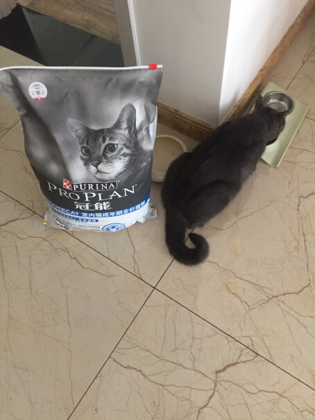 冠能猫粮成猫7kg室内猫全价猫粮请问这个会很咸吗？会不会比三文鱼那个油或者咸？