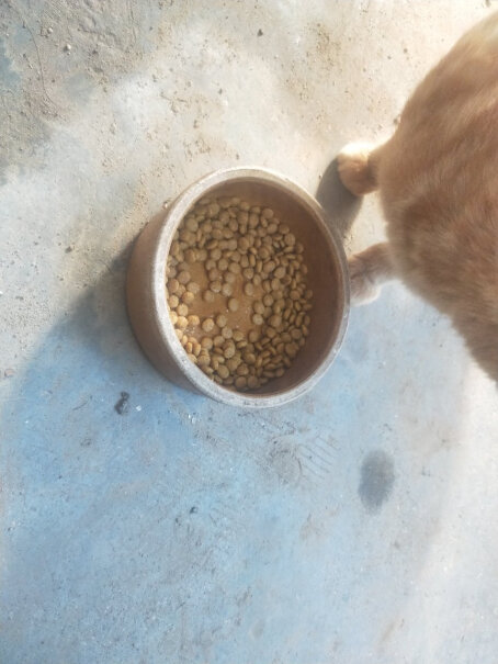 妙多乐猫粮室内成猫1.5kg全价猫粮四个多月的猫可以吃这个猫粮吗？