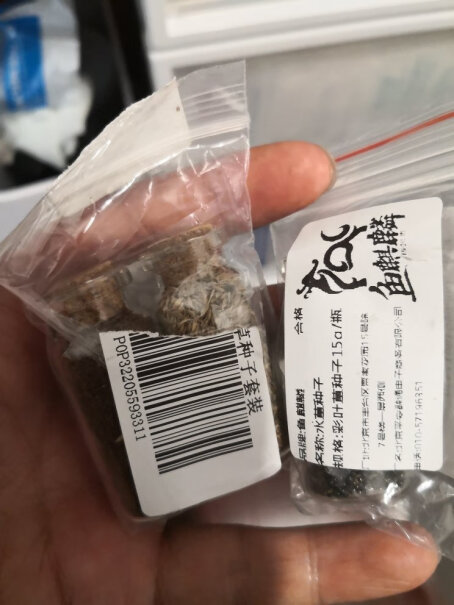 鱼麒麟水草泥6斤装种三四个月的小对叶啥样了？ 我的早就不是小对叶的样子了，长得老难看，是我的问题还是品种的问题？