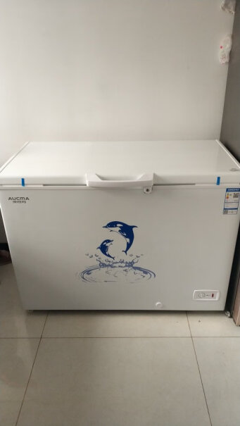 冷柜-冰吧澳柯玛307升家用商用大容量冰柜商用雪糕大冰箱评测不看后悔,这样选不盲目？