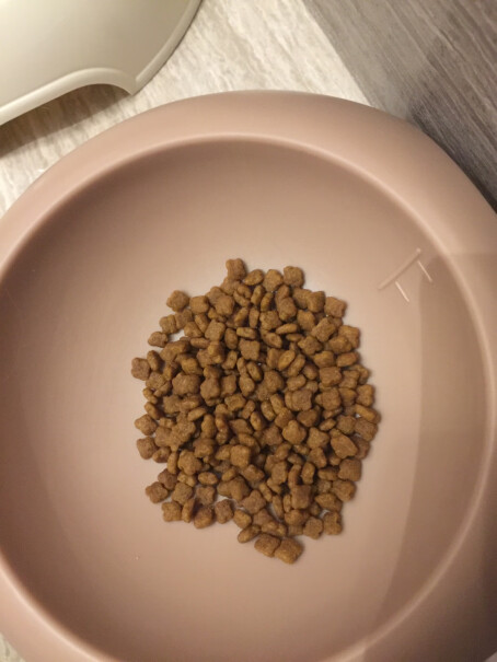 ROYALCANIN一个多月的猫崽可以直接吃吗，它不爱喝羊奶粉，泡在羊奶粉里不怎么爱吃？