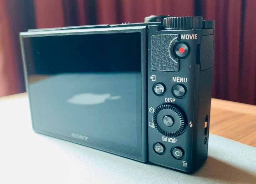 索尼DSC-WX500数码相机数码相机这个录视频可以录声音进去吗？
