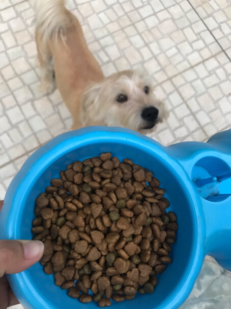 麦富迪宠物狗粮3个多月的博美吃怎么样？