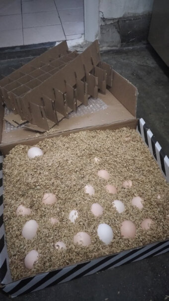 富润世蛋类鸡蛋生鲜鸡蛋分析应该怎么选择,评测下来告诉你坑不坑？