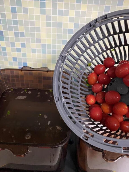 德国洗菜机家用多功能全自动杀菌去农残果蔬清洗机食材净化机机子工作转动时声音大吗？
