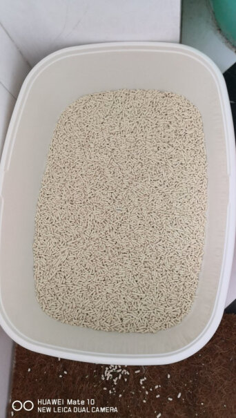 N1玉米豆腐猫砂3.7kg*3袋+猫砂伴侣700g*3袋这款猫砂有粗细之分吗？