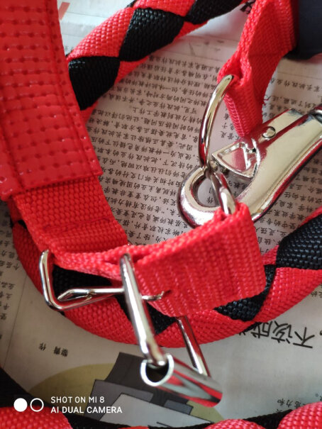 牵引绳-胸背带派乐特狗链遛狗绳使用感受大揭秘！怎么样入手更具性价比！