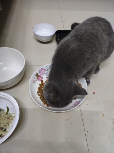 亿迪冻干猫粮天然猫粮3斤成猫幼猫通用型宠物粮自营1.5kg楼下撒了一点。一天都没被吃掉&hellip; 流浪猫都不吃啊&hellip;