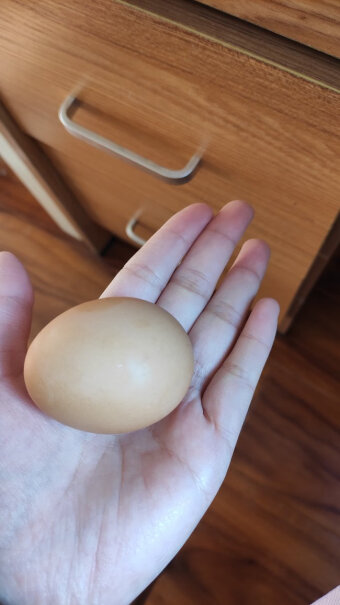 富润世蛋类鸡蛋生鲜鸡蛋质量真的差吗,评测哪一款功能更强大？