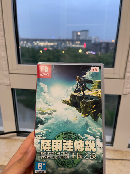 任天堂Switch游戏卡带-塞尔达传说2王国之泪中文版存在吗？（20个汉字）