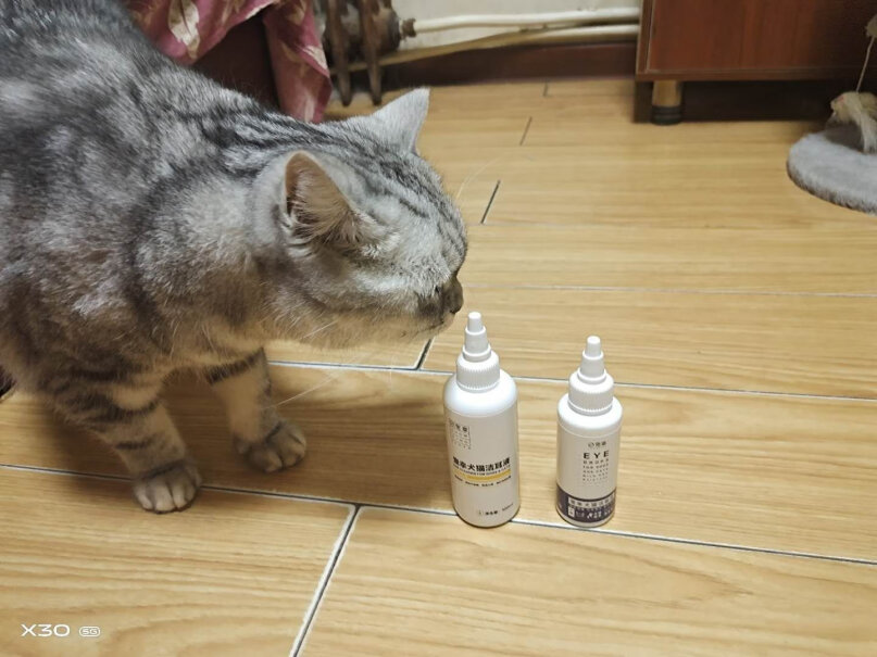 U洁过硫酸氢钾复合盐消毒粉5g*12袋-百花香型两个月的猫咪能用吗？