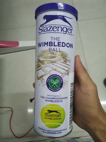 史莱辛格Slazenger网球温网官方用球这网球有蝇子吧！我看的有蝇子？