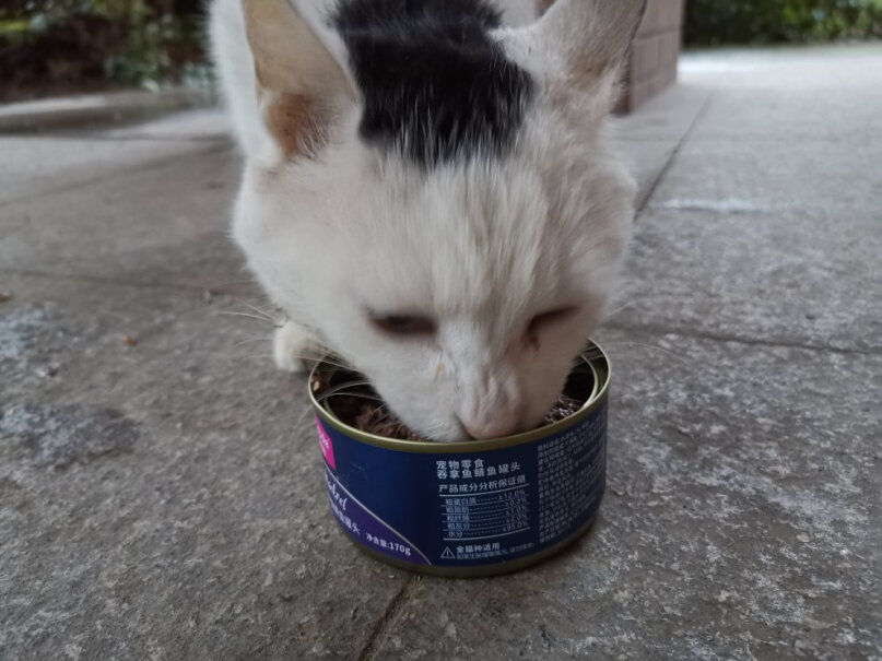 猫零食麦富迪猫罐头猫咪罐头评测质量好不好,好用吗？