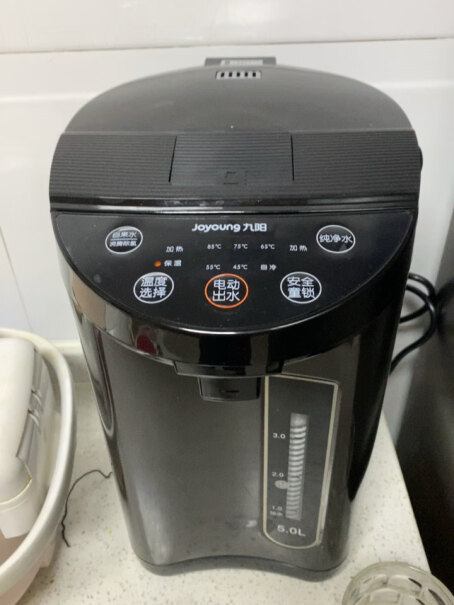 九阳电热水瓶热水壶5L大容量八段保温304不锈钢可以直接煮茶包吗？