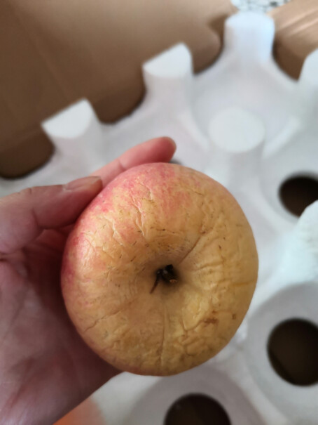 苹果红富士巧域脆甜斤大果80mm新鲜水果分享怎么样？使用情况报告！