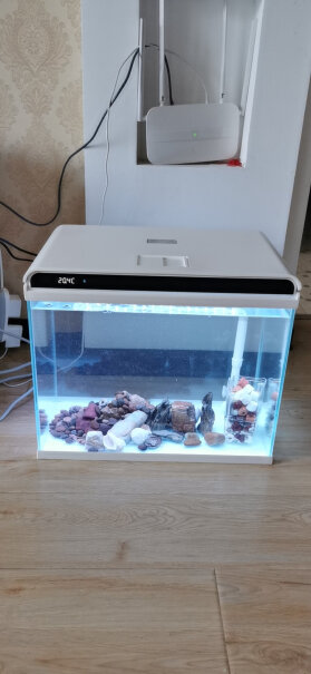 森森森森超白玻璃小鱼缸客厅小型桌面家用水族箱大家多钱买的这款鱼缸？