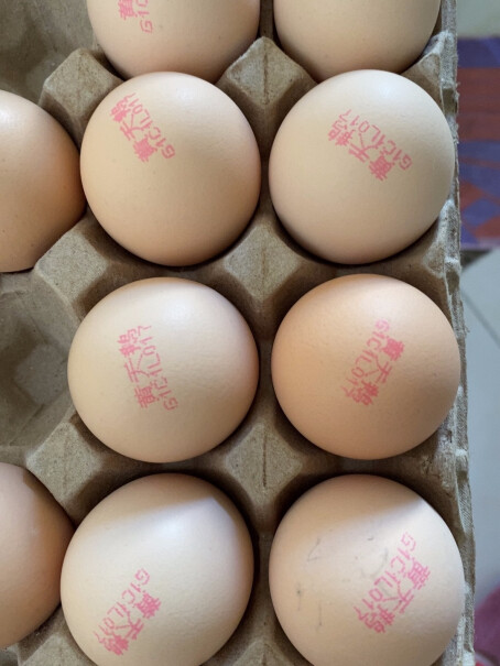 黄天鹅鸡蛋30轻食单枚50G+生食无菌天鹅好不好？网友点评？