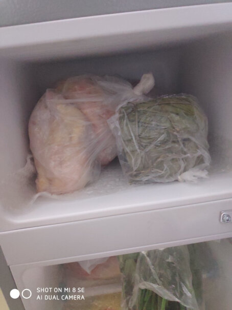 荣事达迷你冰箱小小型双门电冰箱家用宿舍冷冻冷藏节能去味去多久？