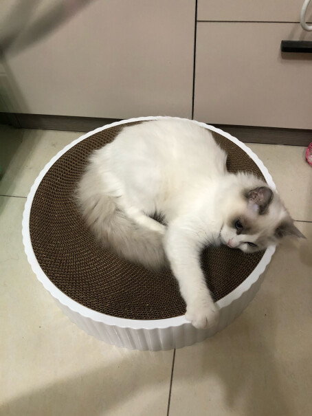 猫抓板茨格曼猫抓板猫玩具评测哪款功能更好,良心点评配置区别？