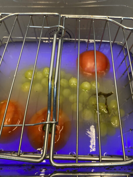 德国尊梵洗菜机果蔬清洗机家用多功能全自动去农残食材净化机食物不放在果蔬篮里可以清洗吗？因为两个容器只配了一个果蔬篮。