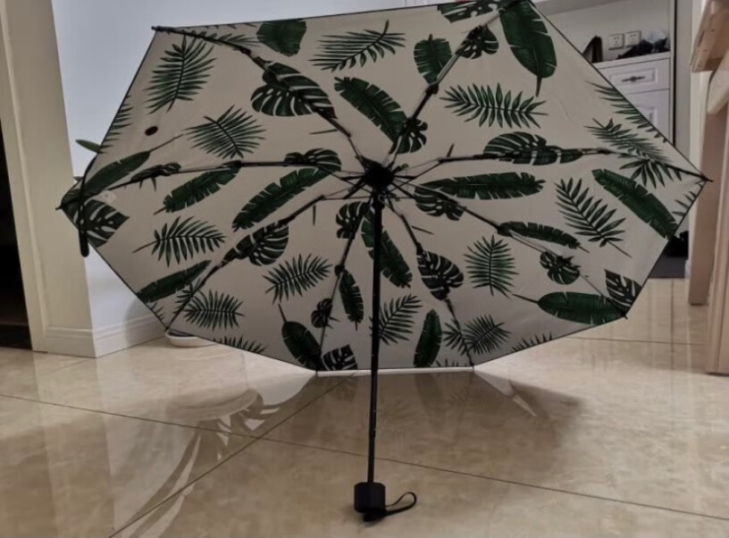雨伞雨具C'mon芭蕉叶功能介绍,评测哪款质量更好？