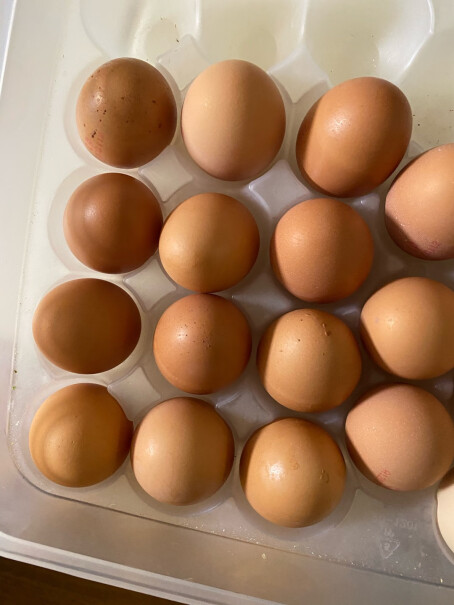 鸡蛋1.59kg沙门氏菌正大早餐兑换随时爆料怎么样？深度揭秘剖析？
