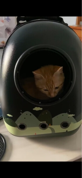航空箱-便携包维利亚猫包宠物包外出便携透气猫咪双肩背包太空舱使用情况,哪个值得买！