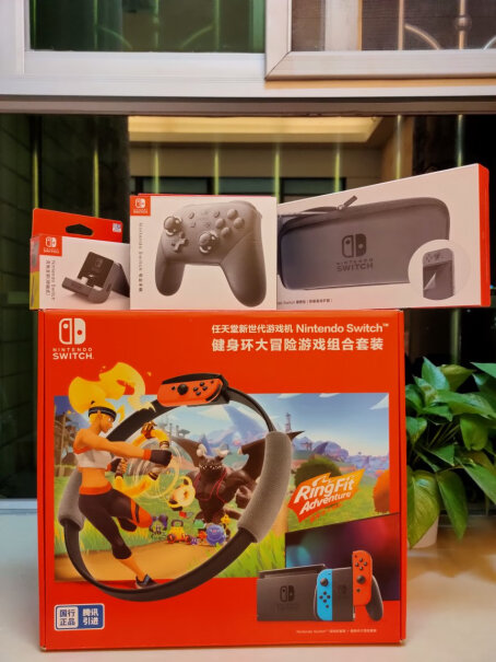 任天堂Nintendo这个价格含健身环的游戏在里面吗？