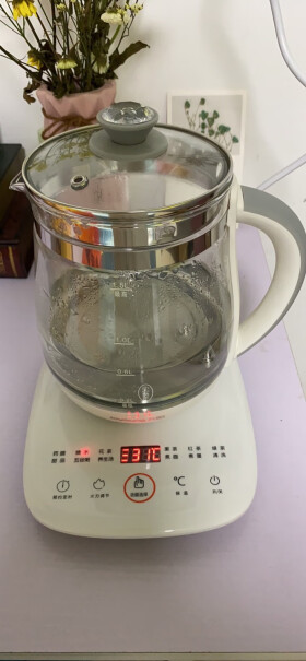 茶壶1.5L电水壶煮茶煎药九阳药膳茶具声音大？