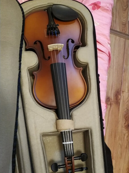 小提琴凤灵4哪个值得买！应该注意哪些方面细节！