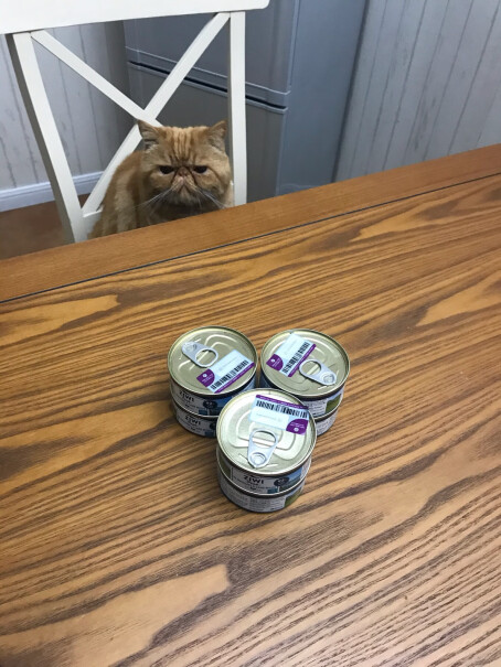 猫主食罐ZIWI滋益巅峰猫罐头猫粮新西兰进口主食罐头多少钱？质量靠谱吗？