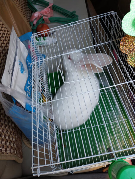 洁西幼兔专属轻奢口粮2.5kg一个月多的凤眼海棠侏儒兔能吃这个兔粮吗？