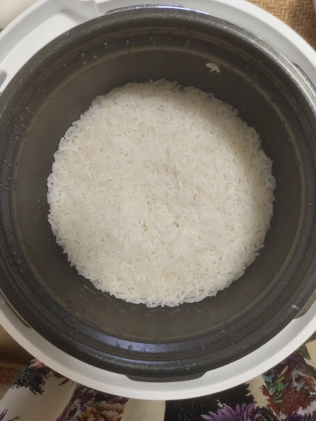 德国OIDIRE请问一下这个锅能煮两斤大米的饭吗？