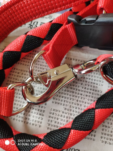 牵引绳-胸背带派乐特狗链遛狗绳使用感受大揭秘！怎么样入手更具性价比！