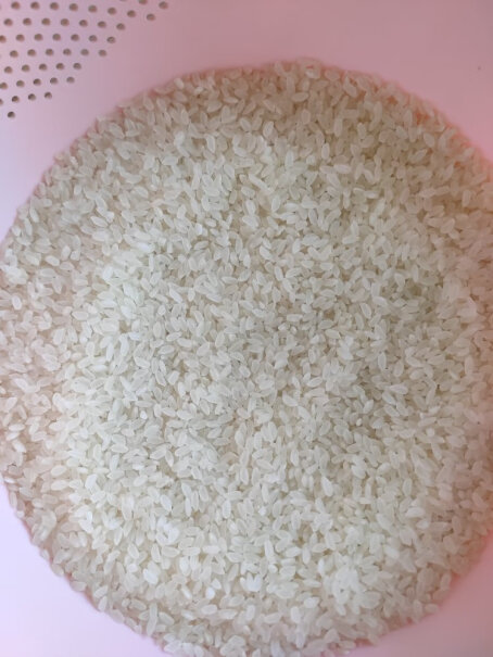 柴火大院长粒香大米5kg东北大米10斤黑龙江粳米质量真的好吗,测评大揭秘？